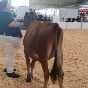 Meet your Posher, Elizabeth